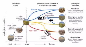 Scientists at the North Central Climate Adaptation Science Center are collaborating with managers in the Nebraska Sandhills to develop scenarios of future ecological change under different climate conditions, disturbance events like fires and extreme droughts, and land uses like grazing. (Photos: T. Walz, M. Lavin, C. Helzer, O. Richmond, NPS [top to bottom]., CC BY)
