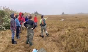 Scientists and coastal managers tour a salt marsh at Allens Pond Wildlife Sanctuary in southeastern Massachusetts. The group is working with the Northeast Climate Adaptation Science Center to identify and share best practices for keeping salt marshes healthy. (Jon Woodruff/UMass Amherst)
