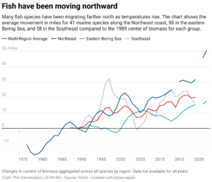 Fish have been moving northward (Chart: The Conversation, CC-BY-ND; Source: NOAA)