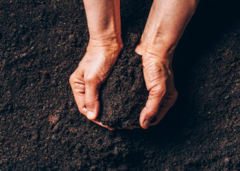 Hands holding soil (iStock image)