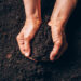 Hands holding soil (iStock image)