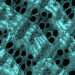 A microCT image shows the distribution of the iron mineral in the wood cell wall (in turquoise). (FAU)
