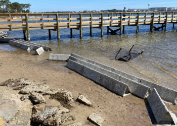 A reef prism formation at Liza Jackson Park in Fort Walton Beach. (Savanna Barry, UF/IFAS)