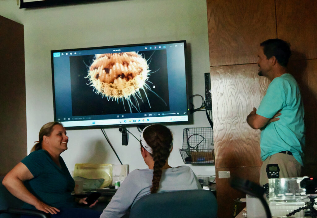 At a "show and tell" of the day's finds, Holly Sweat, from left, Jessica Zehnpfennig and Christopher Meyer examine a scallop found in the Indian River Lagoon. (Natalie van Hoose photo)