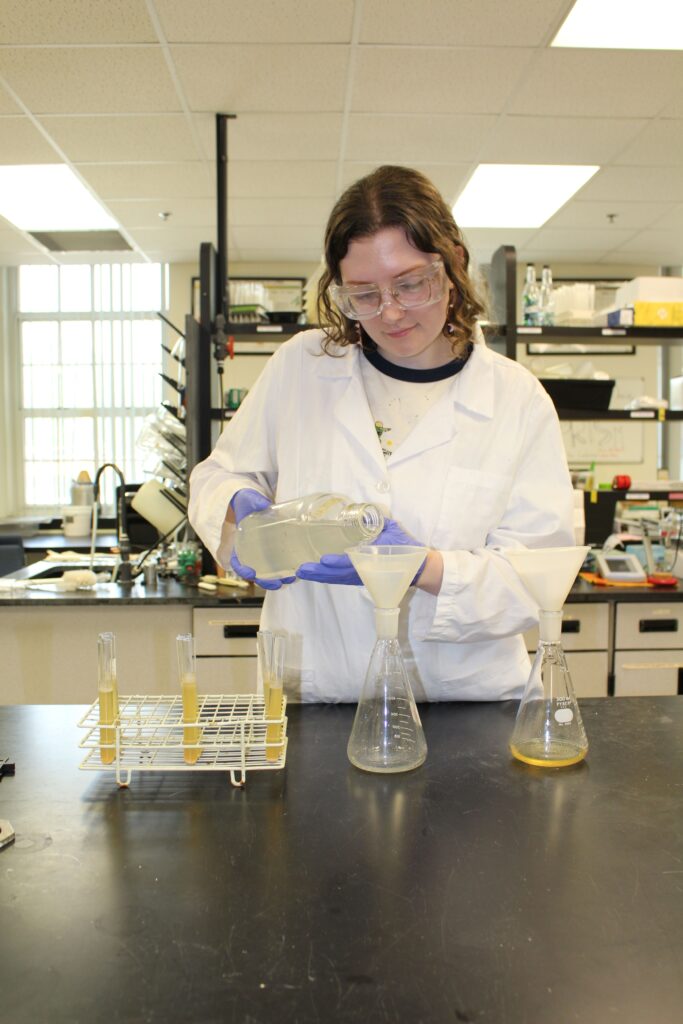 Article co-author Mary Serviss, a FSHN master’s student, assesses beer fermentation samples. “Successful sustainability requires cooperation and tremendously benefits both the brewing industry and the planet we call home,” Serviss said. (Courtesy of Andrew MacIntosh)