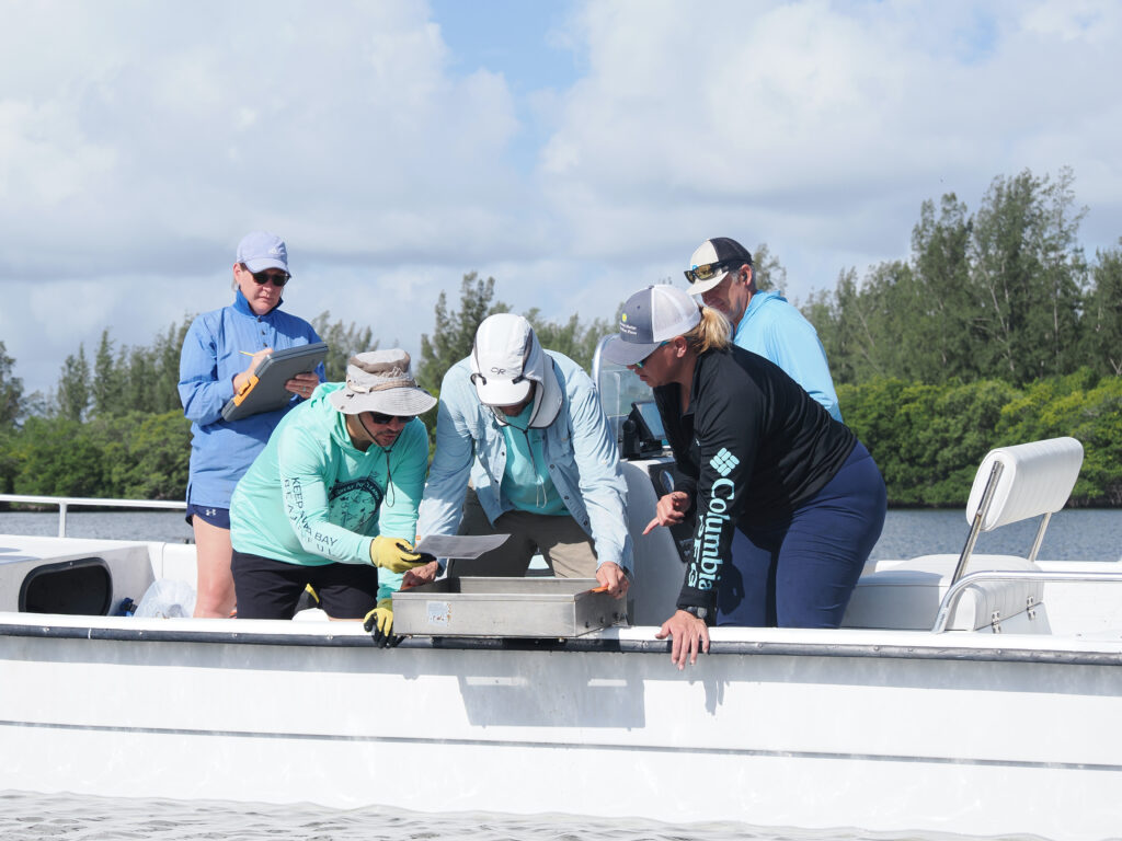 Scientists characterize the color of a sediment sample from the floor of the Indian River Lagoon before sieving it to locate the animals within. (Natalie van Hoose photo)