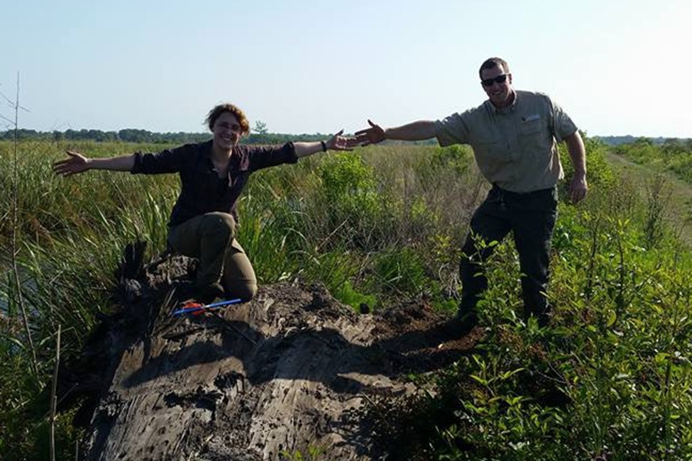 Study authors Katharine Napora, Ph.D., and Craig Jacobs, stand on the base on an ancient cypress tree hauled up from the Altamaha Wildlife Management Area on the Georgia coast. (FAU)