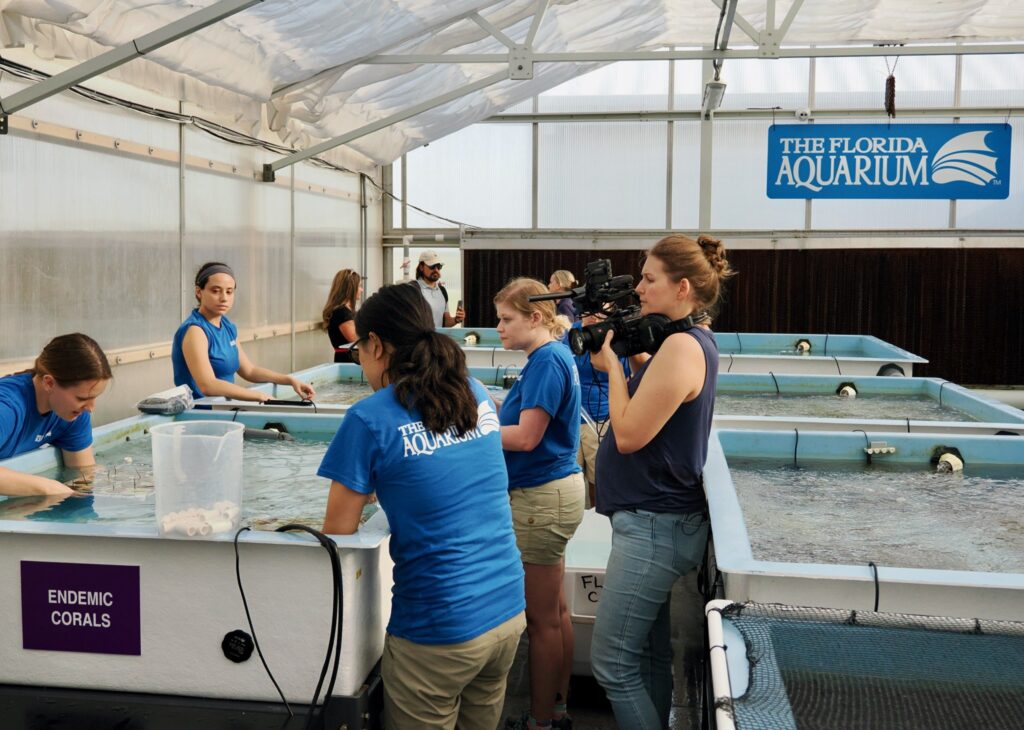 Co-director and producer Alyson Larson, right, films staff at The Florida Aquarium in Apollo Beach prepping hand-raised elkhorn corals to head to the Keys for eventual outplanting on the reef. (Credit: Reef Keepers)