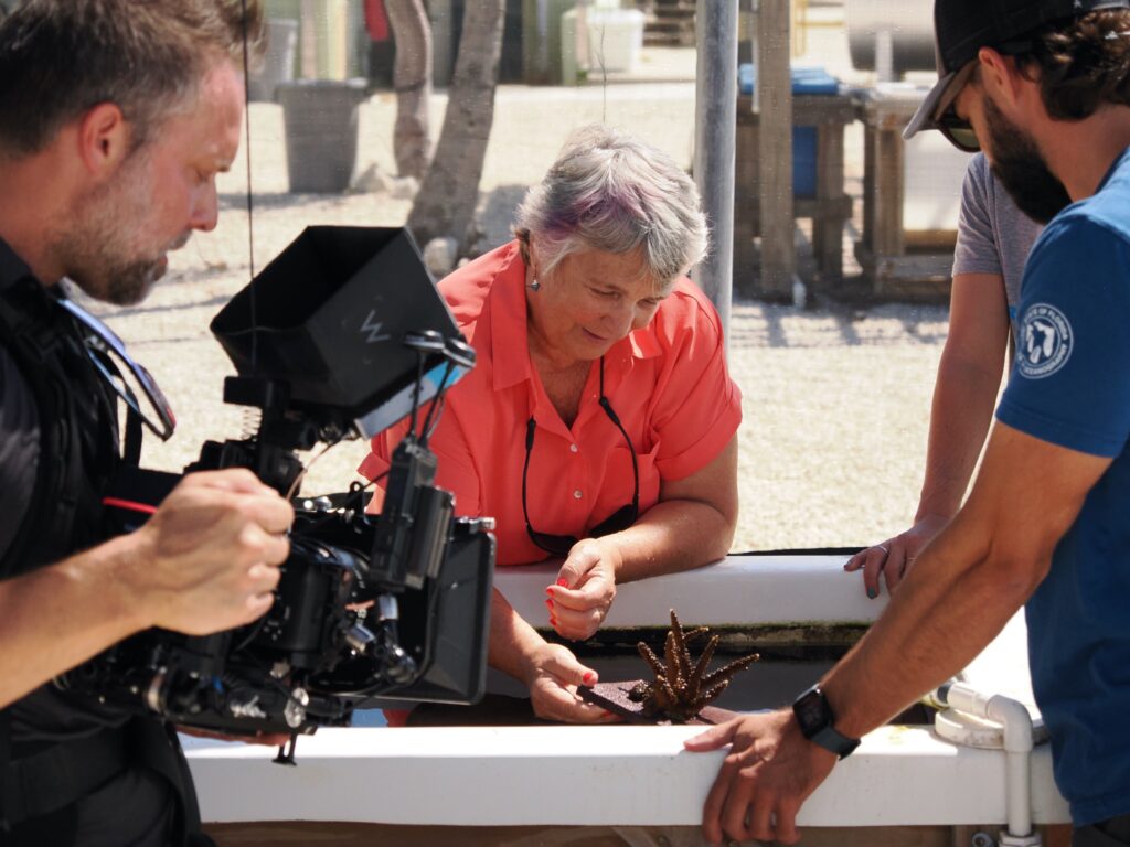 Dr. Cindy Lewis displays a staghorn coral in one of the tanks at KML. (Credit: Reef Keepers)