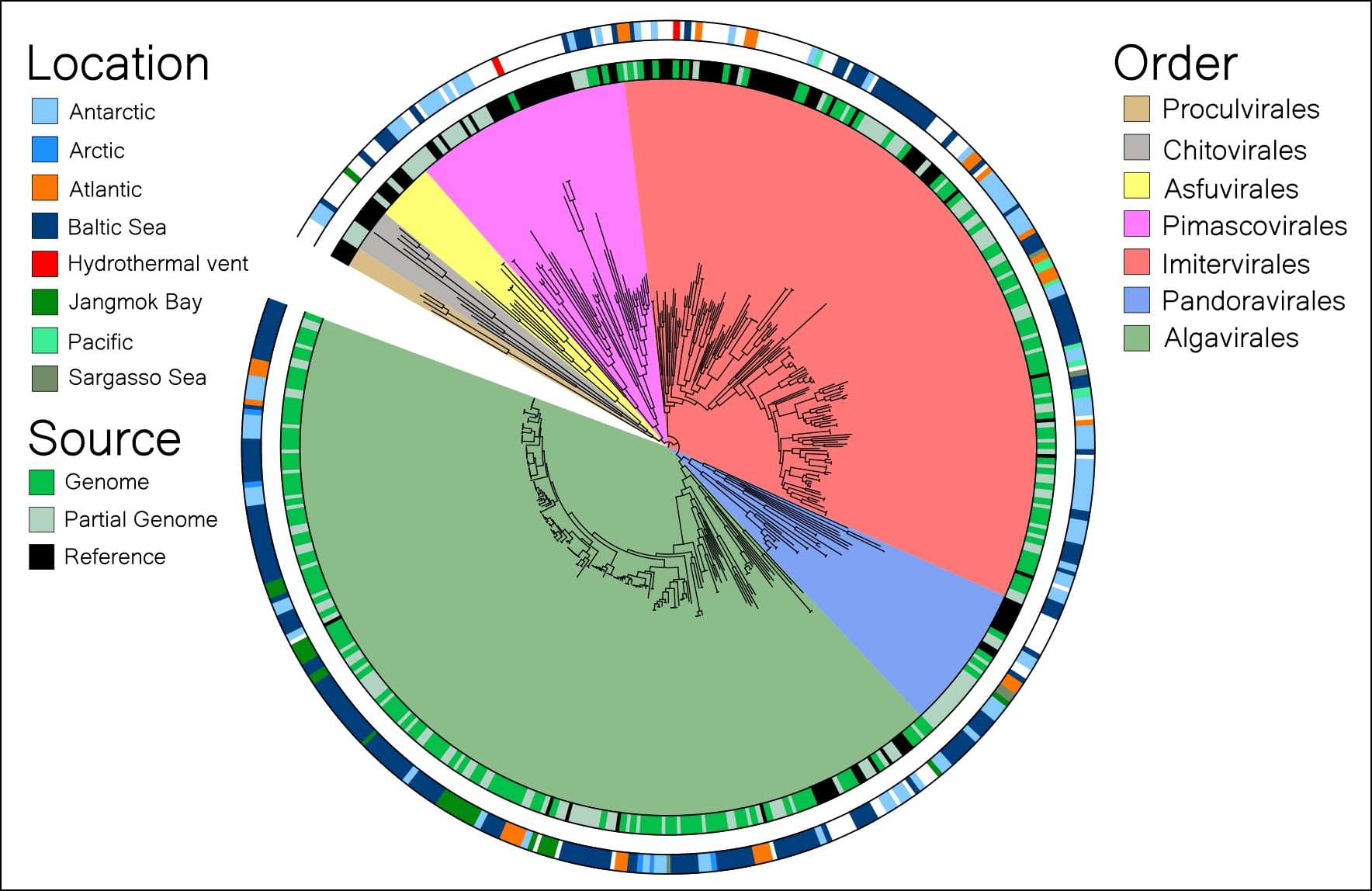 Scientists discover 230 new giant viruses that shape ocean life and ...