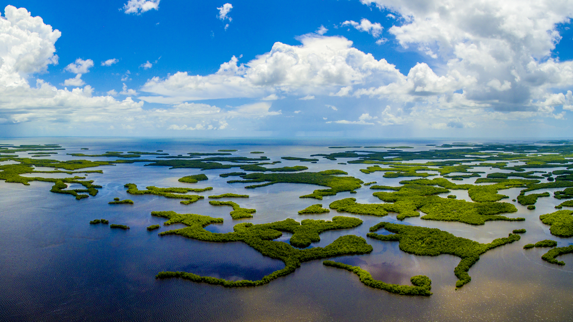 Ten Thousand Islands National Wildlife Refuge (iStock image)