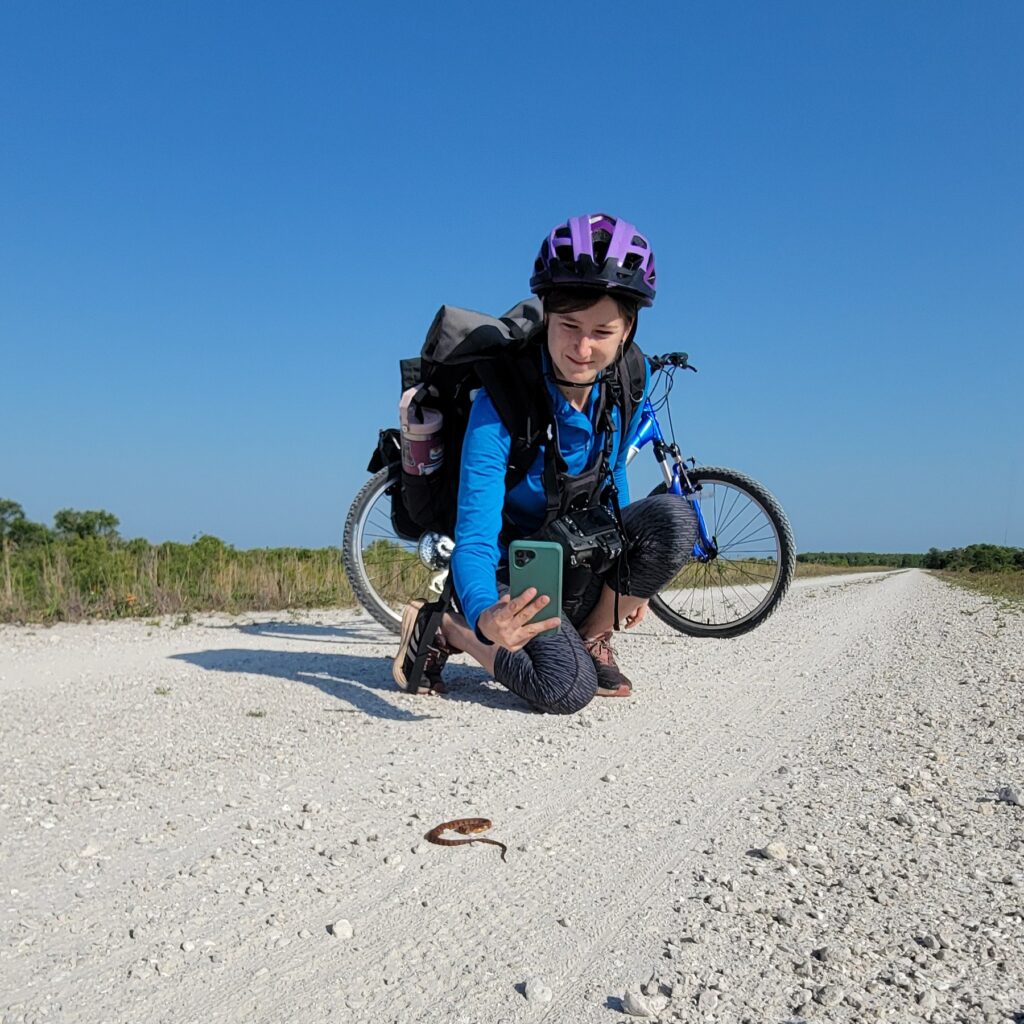 Brittany Mason recording a snake. (Photo Credit: Frederick Kundert)