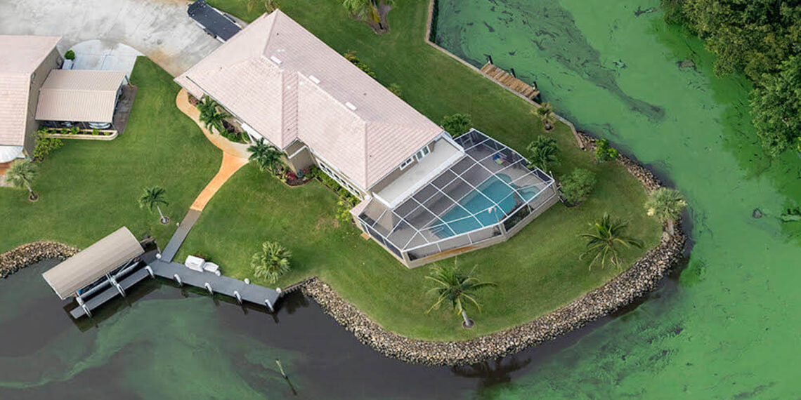 A 2018 algae outbreak in Stuart, where Lake Okeechobee water is discharged. (Photo by John Moran)
