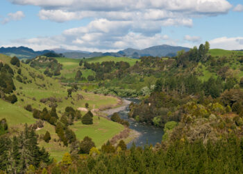 A 2017 New Zealand law recognizes inherent rights of the Whanganui River. (Jason Pratt, CC BY-SA)