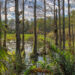 Big Cypress National Preserve (iStock image)