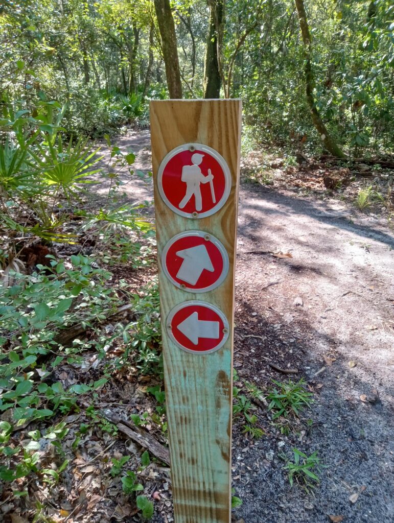 Hernando County's Fickett Hammock Preserve Hiking Trail (Joe Murphy photo)