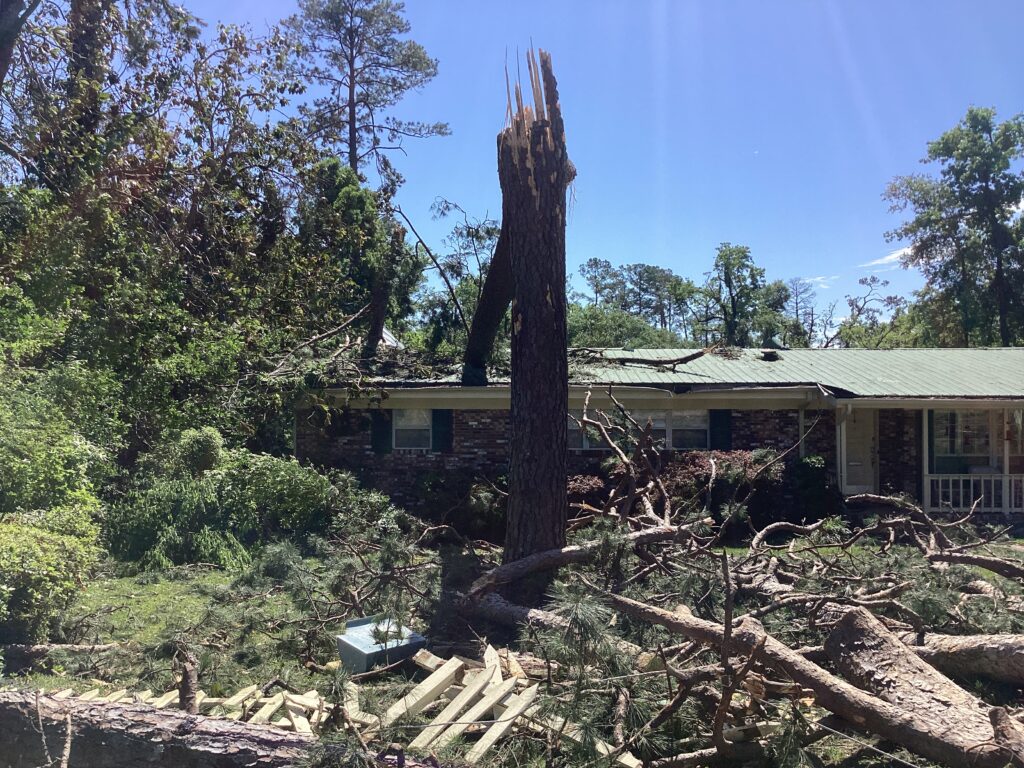 A tree that snapped and fell onto a nearby home as a result of a tornado which struck Tallahassee in 2024 (National Weather Service, Public domain, via Wikimedia Commons)