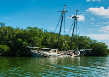 An abandoned boat in front of mangroves in Key Largo (iStock image)