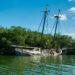 An abandoned boat in front of mangroves in Key Largo (iStock image)