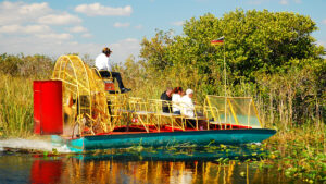 An airboat tour of the Everglades (iStock image)