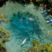 Three Sisters Springs feeds into Kings Bay, the Crystal River headwaters (iStock image)