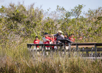 Park rangers lead students through different Everglades habitats. (Everglades NPS, Public domain, via Wikimedia Commons