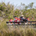 Park rangers lead students through different Everglades habitats. (Everglades NPS, Public domain, via Wikimedia Commons