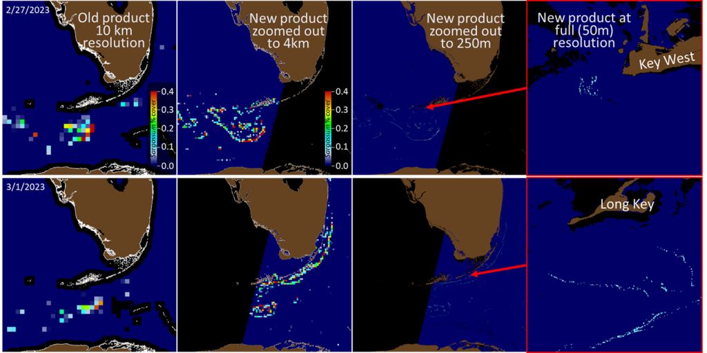 The improved resolution of the Sargassum Watch System allows researchers to detect relatively smaller slicks of sargassum. (Courtesy of Brian Barnes)