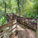 Hernando County's Cypress Lakes Preserve Hiking Trail (Joe Murphy photo)
