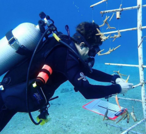 Holden Harris was a research fishery biologist with NOAA’s Southeast Fisheries Science Center. (Holden Harris photo)