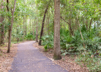 A paved exercise trail winds through woods in a park near Jacksonville (iStock image)