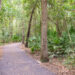 A paved exercise trail winds through woods in a park near Jacksonville (iStock image)
