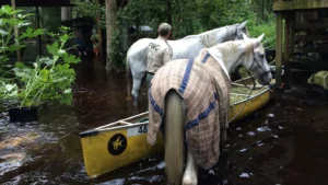 State officials arrive at Jane Blais’ flooded property during Hurricane Irma in 2017. (Capt. Martin Redmond/Florida Fish and Wildlife Conservation Commission)