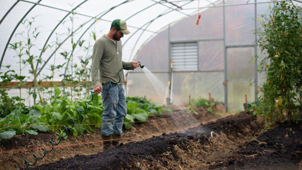 Gamble Creek Farms in Parrish uses regenerative and circular practices that reuse resources, such turning food scraps into compost or recycling rainwater to irrigate crops. (Photo courtesy of Gamble Creek Farms)