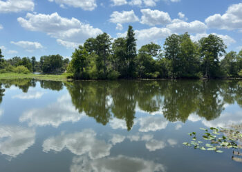 The Hillsborough River (Benjamin Compton photo).