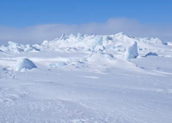 The author’s view walking across Arctic sea ice off Utqiagvik, Alaska, in April 2025. (Alexandra Jahn)