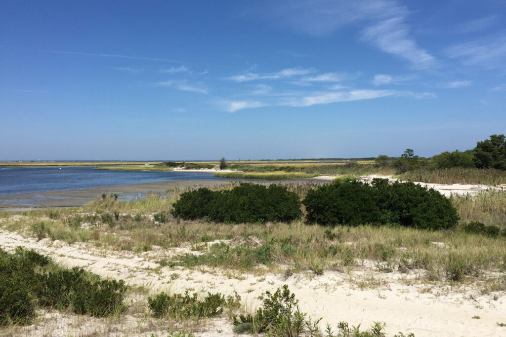 Wetlands along Barnegat Bay in Ocean County, New Jersey. A NOAA study found that wetlands prevented more than $625 million in property damage from Hurricane Sandy. (U.S. Fish and Wildlife Service - Northeast Region, Public domain, via Wikimedia Commons)