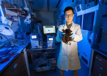 Yiming Xi, a Ph.D. candidate in chemical engineering in the College of Engineering, is researching potential uses for sargassum seaweed. (Photo: Joshua Prezant/University of Miami)