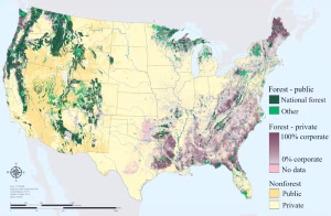 Forest ownership in the United States (Mark D. Nelson, Greg C. Liknes, and Brett J. Butler/U.S. Forest Service)