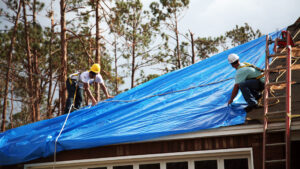U.S. Army Corps of Engineers workers install temporary roofing on homes of Florida Panhandle residents as part of Operation Blue Roof following Hurricane Michael in 2018 (Pfc. Kaleah Fields/CAISE, via Defense Visual Information Distribution Service)