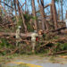 Soldiers of the 753rd Brigade Engineer Battalion clear roadways in 2018 for residents to pass through after Hurricane Michael left many impassable in Panama City. (Pfc. Arcadia Jackson/National Guard, Public domain, via Wikimedia Commons)