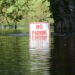 Floodwater from Florida's Santa Fe River engulfs a street sign during Hurricane Irma in 2017. (Tim Donovan/Florida Fish and Wildlife Conservation Commission)