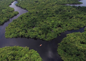 An aerial view of the Amazon rainforest in Brazil (iStock image)