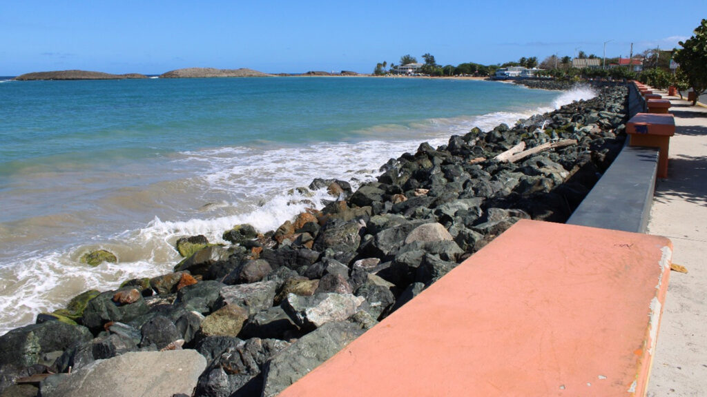 Vega Baja, Puerto Rico, 2024 (Photo by Adriana Garriga-López)