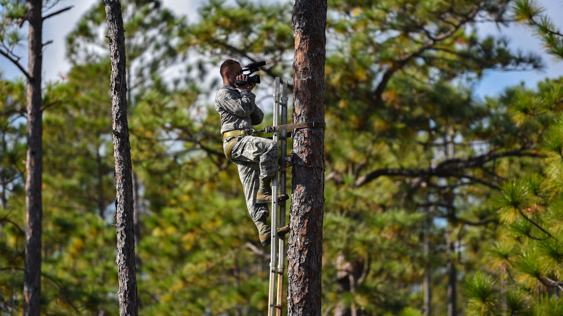 Saving wildlife while securing our nation: The unlikely alliance ...