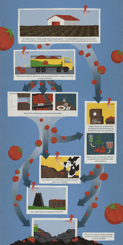The causes of food waste (Olivia Heller for Sentient)