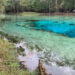 Gilchrist Blue Springs, located about 20 miles northwest of Gainesville, Fla., is a popular recreation site known for the clarity of its water. (Christopher Meindl, CC BY)