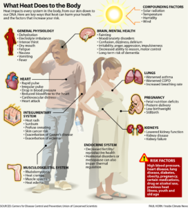 What Heat Does to the Body (Paul Horn/Inside Climate News)
