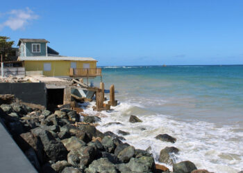 Vega Baja, Puerto Rico, 2024 (Photo by Adriana Garriga-López)