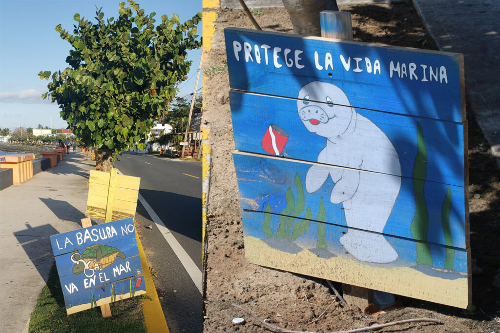 Vega Baja, Puerto Rico, 2024 (Photo by Adriana Garriga-López)